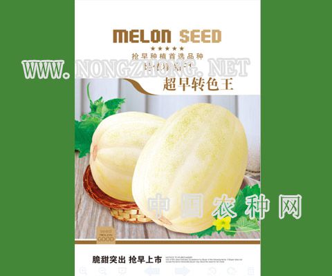 超早转色王